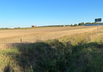 działka na sprzedaż - Dmosin, Nowostawy Dolne