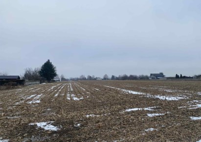 działka na sprzedaż - Zduńska Wola (gw), Opiesin