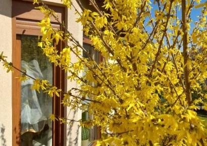 dom na sprzedaż - Świerklaniec